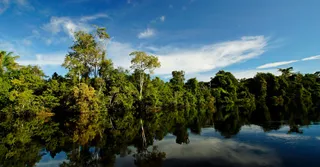 Preços de diária na Guiana Francesa: tabela de tarifas por município e por estação