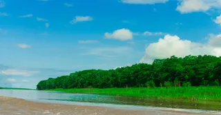 When to Visit French Guiana? Climate, Seasons and Best Time to Go (2026)