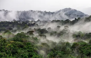 Quand partir en Guyane ? Climat, saisons et meilleure période (2026)