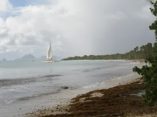 Quand partir en Martinique : mois par mois, le vrai climat