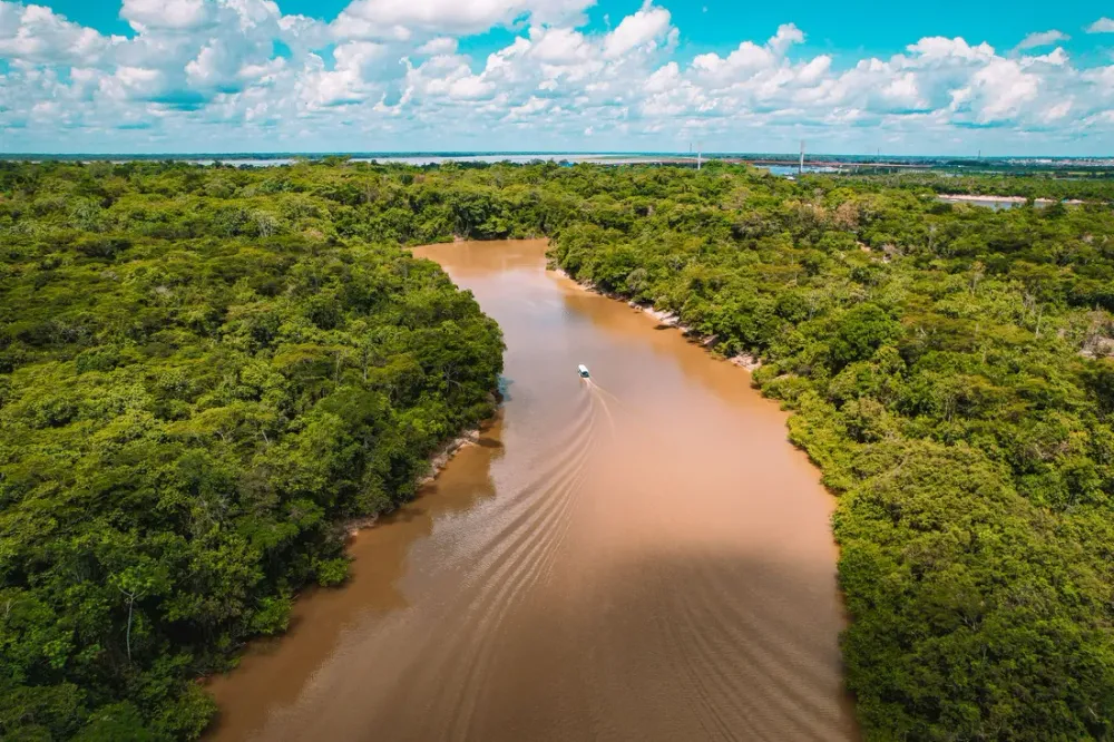 Que faire en Guyane : 25 incontournables hors des sentiers battus