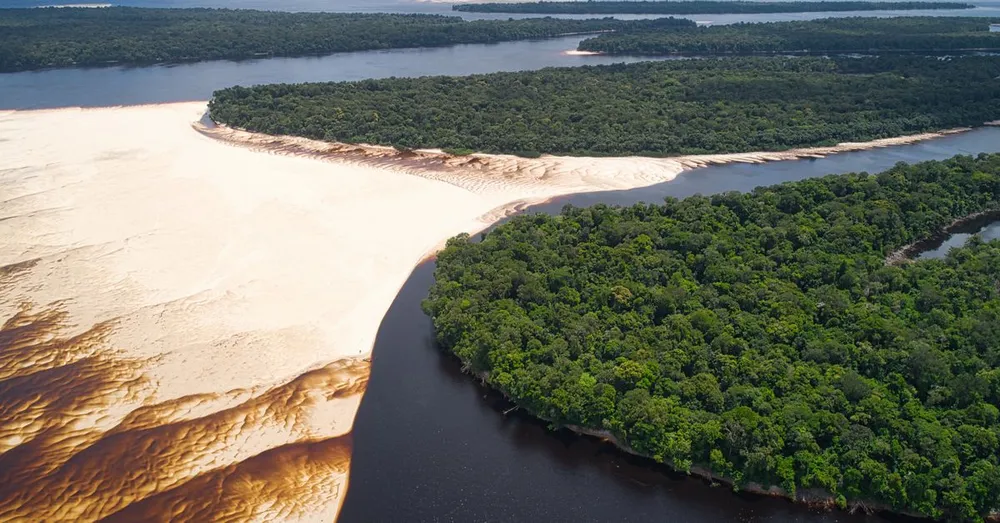 What to Do in French Guiana: 25 Off-the-Beaten-Path Must-Sees