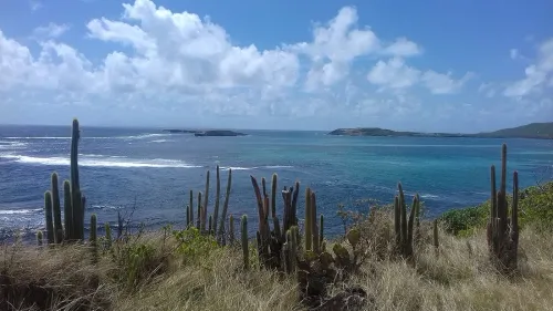 Que faire au Marin : marina, voile et accès aux îlets du Sud martiniquais