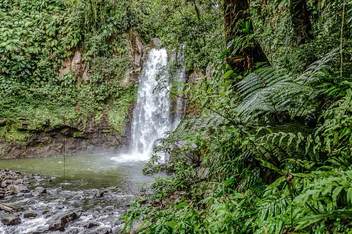 Randonnée de la Traversée : 5 sentiers du Parc national de Guadeloupe à parcourir