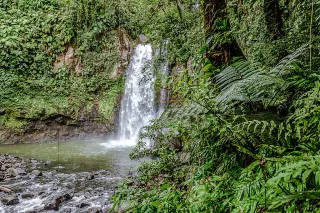 Randonnée de la Traversée : 5 sentiers du Parc national de Guadeloupe à parcourir