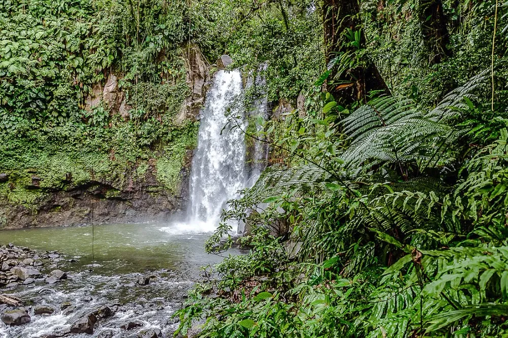 Randonnée de la Traversée : 5 sentiers du Parc national de Guadeloupe à parcourir