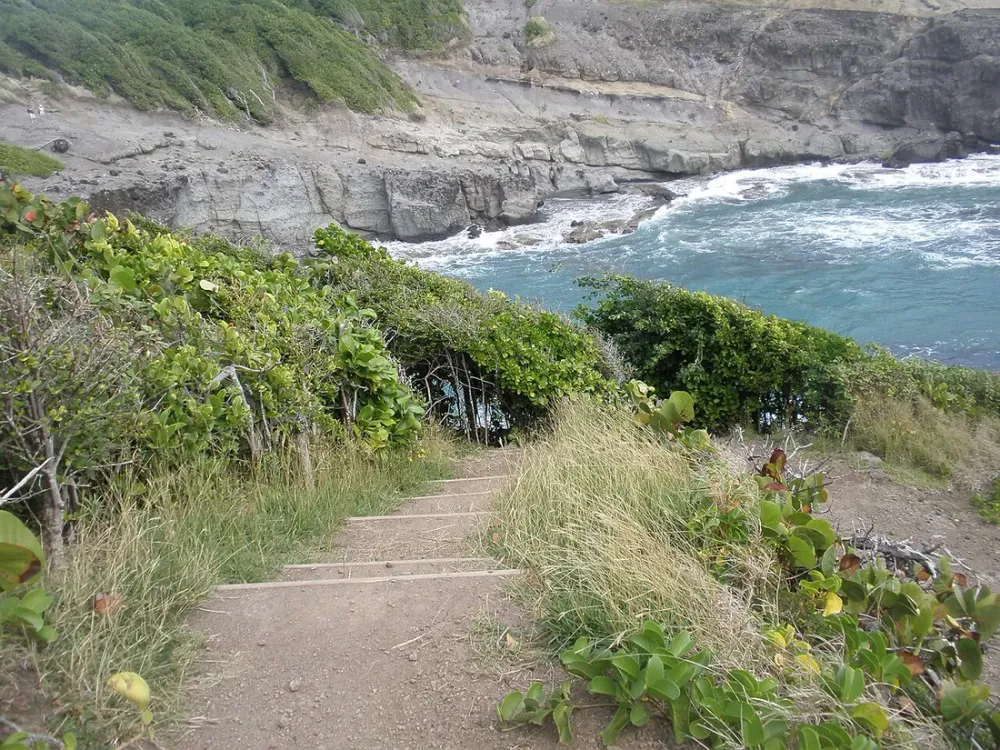 Randonnées faciles avec enfants en Martinique : 5 traces testées en famille