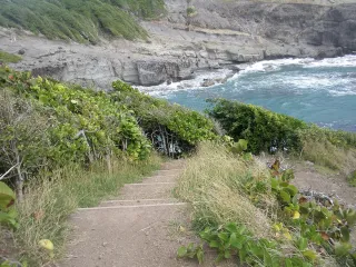 Randonnées faciles avec enfants en Martinique : 5 traces testées en famille