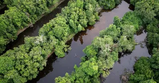 Trilhas na Guiana Francesa: nossos melhores treks (2026)