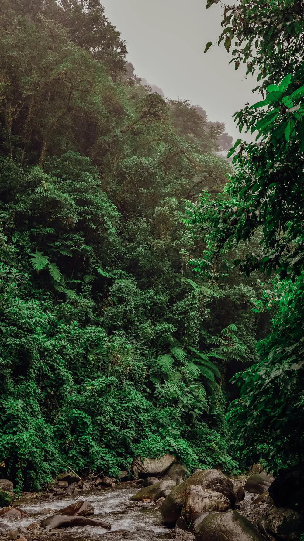 Senderismo en Guyana: nuestros mejores treks (2026)