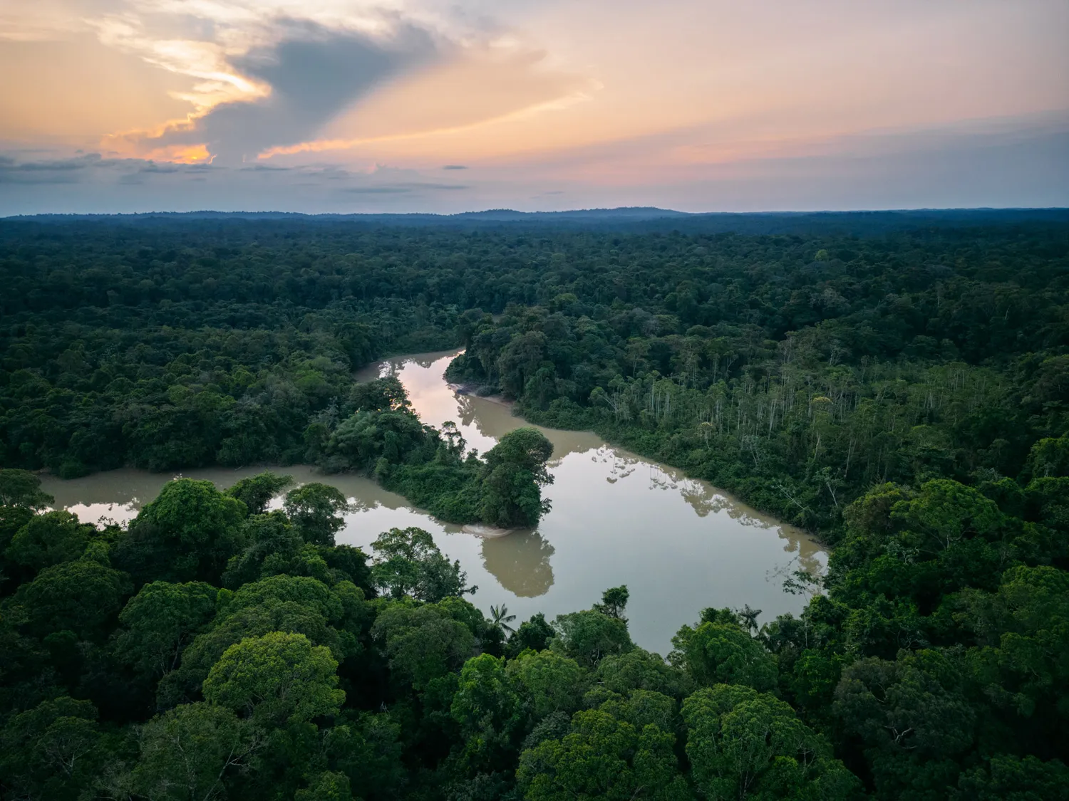 French Guiana nature — Hostel Toucan frequently asked questions