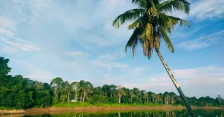 Short-Term Rental Regulations in French Guiana: Change of Use and Quotas