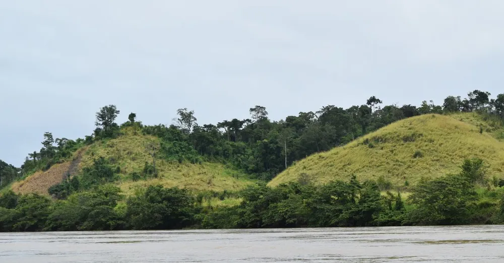 Rede móvel na Guiana Francesa: cobertura, planos e as zonas sem sinal do rio