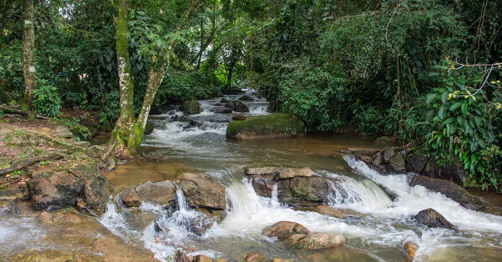 Reserva natural de Amana: la Guayana amerindia auténtica