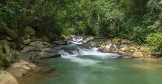 Reservar hospedagem na Guiana Francesa: zonas, estações e tarifas