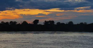 Where to Eat in French Guiana? The Best Restaurants in Cayenne (2026)