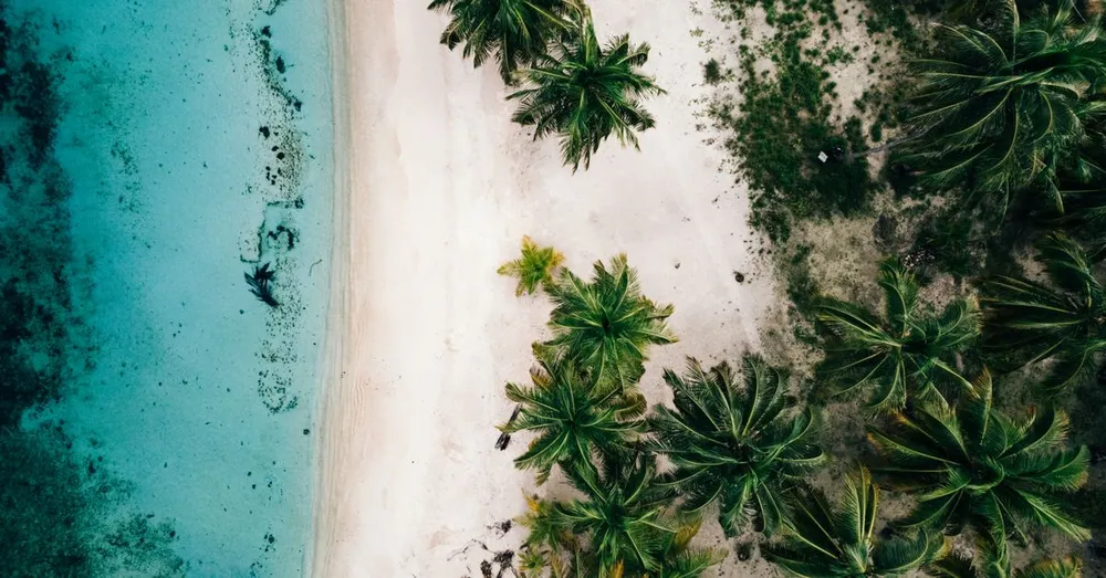 A rota das destilarias de rum agrícola em Guadalupe: o circuito de degustação responsável