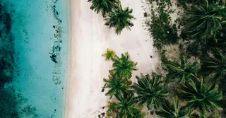 A rota das destilarias de rum agrícola em Guadalupe: o circuito de degustação responsável