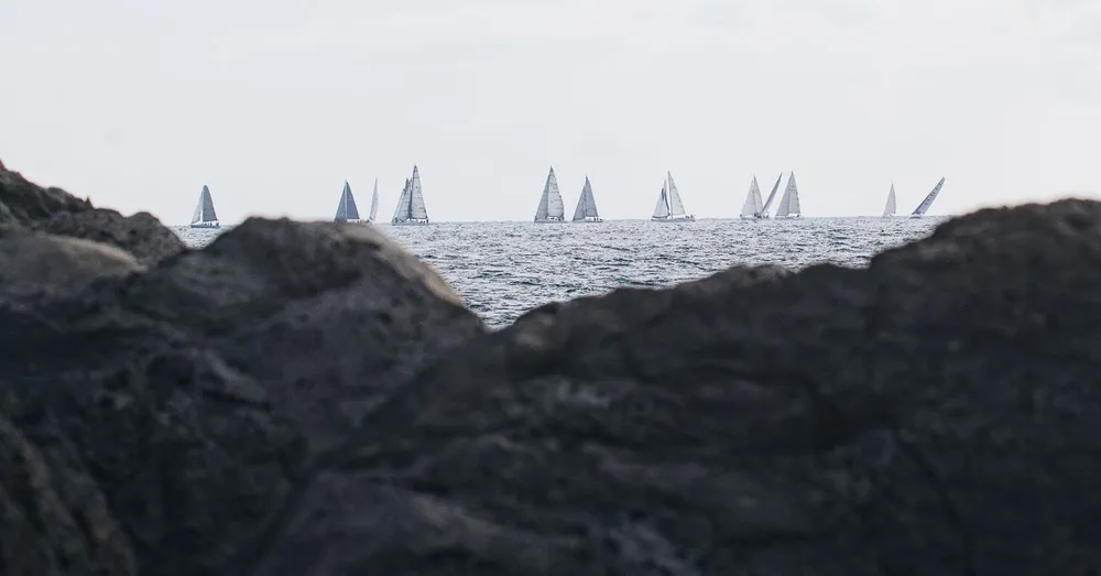 Route du Rhum en Pointe-a-Pitre: alquilar para la llegada