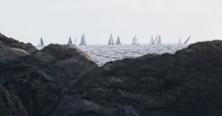 Route du Rhum in Pointe-a-Pitre: Renting for the Finish