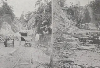 Saint-Élie et l'or de Guyane : sur la route des anciennes mines
