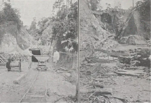 Saint-Élie et l'or de Guyane : sur la route des anciennes mines
