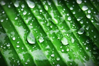 Saison des pluies en Guadeloupe : que faire pendant l'hivernage