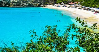 Sargazo en Guadalupe: dónde y cuándo, qué playas evitar