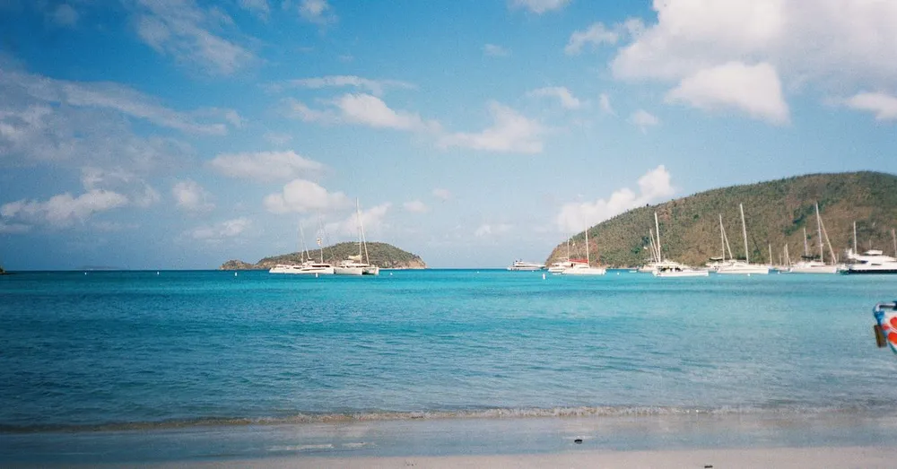 Sargassum in Martinique: Which Beaches to Avoid, When, and How to Plan Ahead