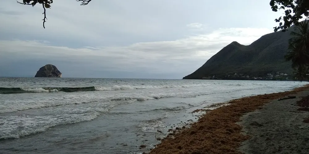 Sargasses, vue mer et tarification : adapter son meublé côté atlantique