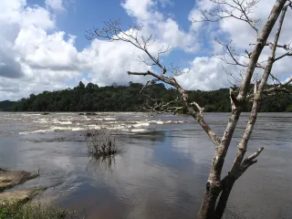 Saut Maripa : le joyau des rapides de l'Oyapock depuis Saint-Georges