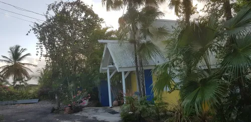 SCI ou nom propre pour investir en location meublée en Guadeloupe ?