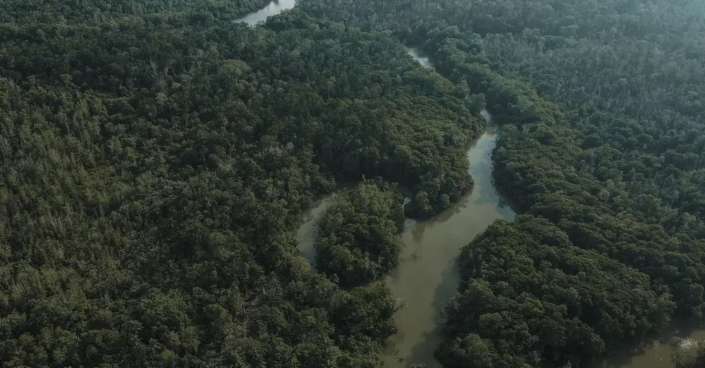 Sem moto nem scooter: como se locomover sem carro na Guiana Francesa