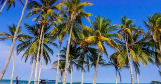 Alojarse en Le Carbet y la costa Norte-Caribe: la base natural de Martinica