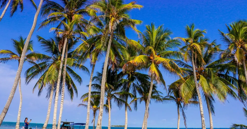 Alojarse en Le Carbet y la costa Norte-Caribe: la base natural de Martinica
