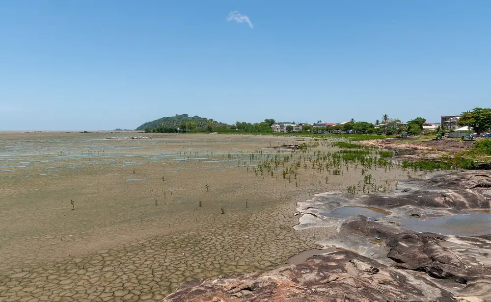 Séjour découverte en Guyane : réserver avec une conciergerie locale