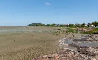 Séjour découverte en Guyane : réserver avec une conciergerie locale