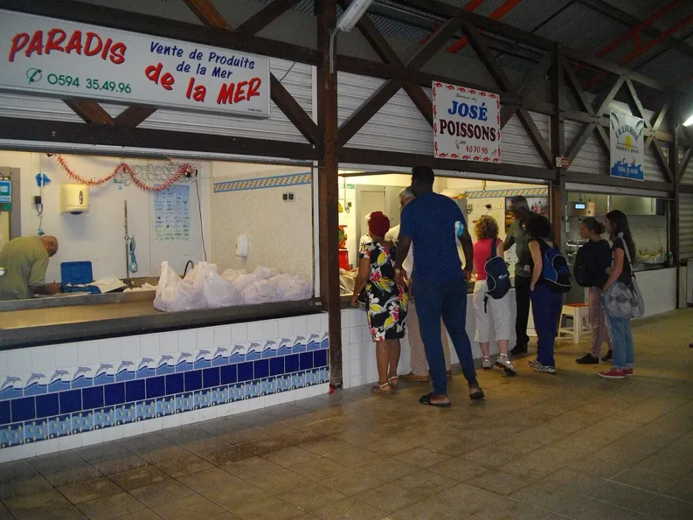Séjour nature à Cayenne : nos logements proches des sentiers et du marché