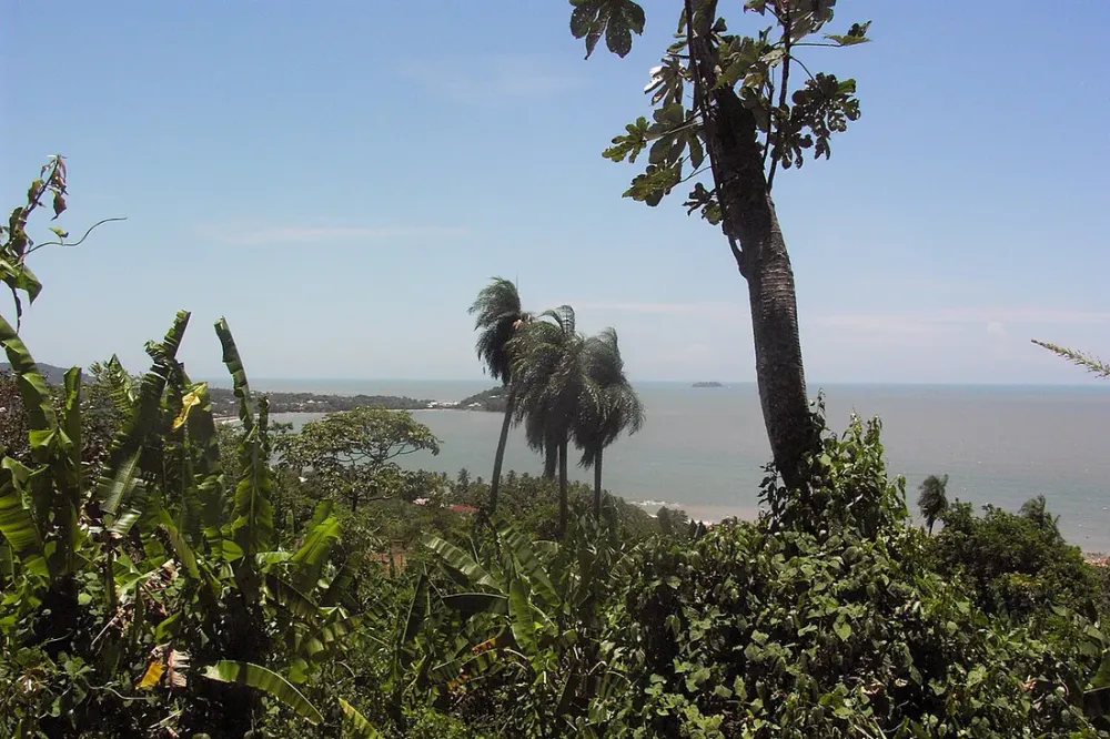 Sentier du Rorota : la rando familiale incontournable de Cayenne