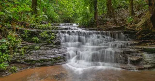 Rorota Trail: Cayenne's Must-Do Family Hike