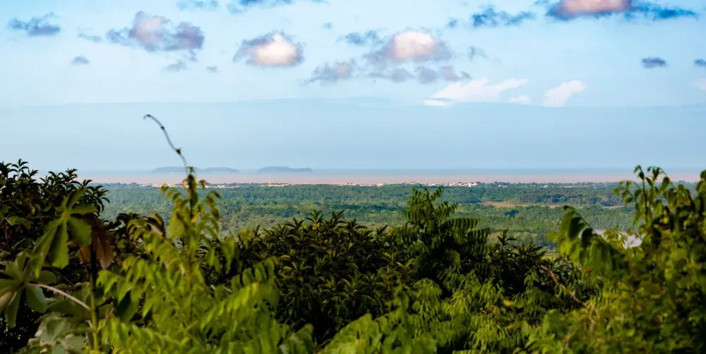Sentier de la montagne des Singes à Kourou : rando facile avec vue sur Ariane