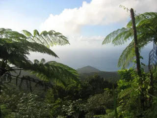 Sentier de la Traversee Basse-Terre : la rando coeur de foret