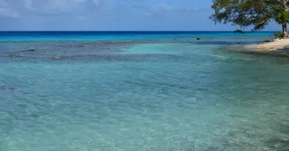 Snorkel en Petite Terre: reserva natural y tiburones limón