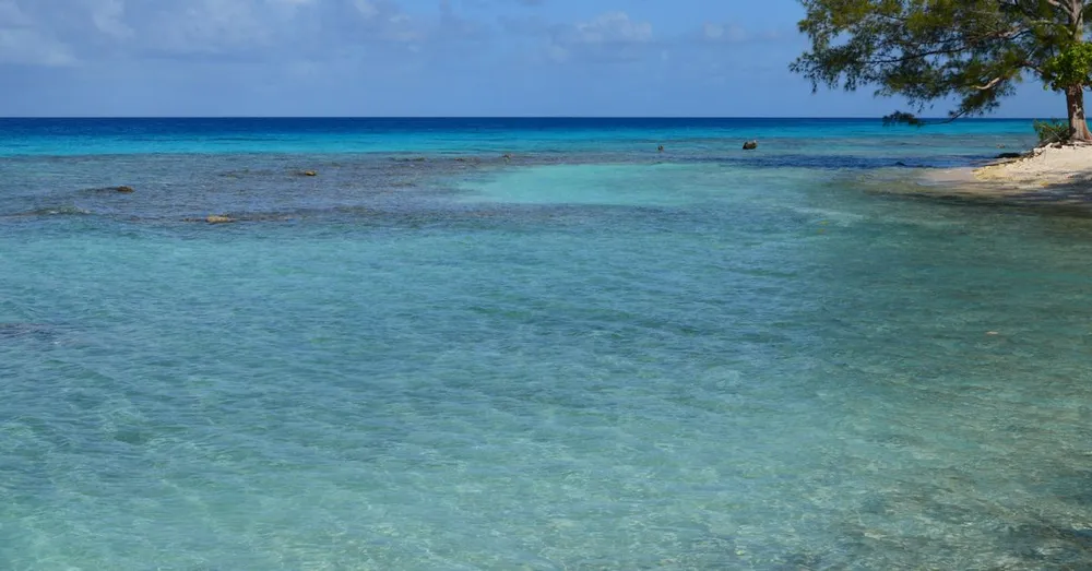 Snorkel en Petite Terre: reserva natural y tiburones limón