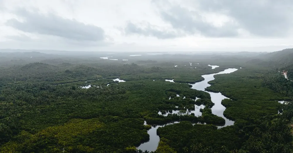 Pic Coudreau e os picos da Guiana Francesa: o desafio dos trilheiros experientes