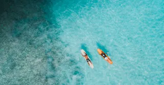 Surfing and Bodyboarding in Guadeloupe: The Spot Map from Le Moule to Port-Louis, Season by Season