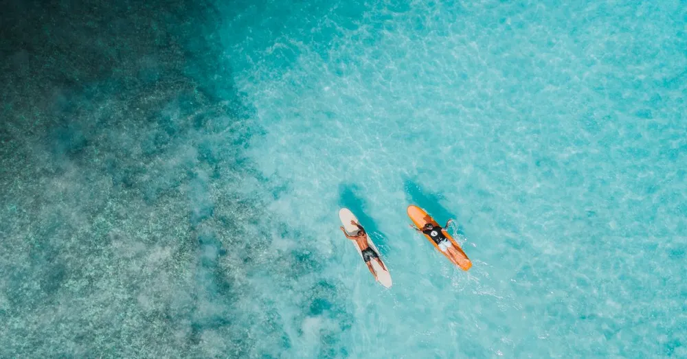 Surfing and Bodyboarding in Guadeloupe: The Spot Map from Le Moule to Port-Louis, Season by Season