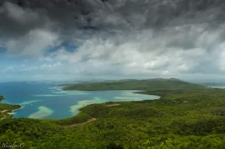 Tartane et la Baie du Galion : surf et plages sauvages du Nord-Atlantique martiniquais