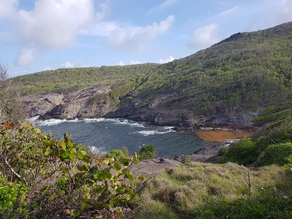 Tartane et la presqu'île de la Caravelle : le marché locatif décrypté