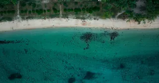 Terre de Blues en Marie-Galante: cómo reservar alojamiento